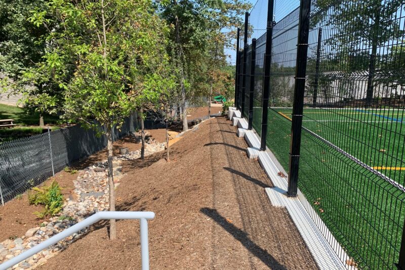 Howard Hughes Medical Institute