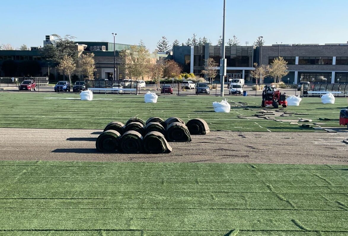hofstra university turf