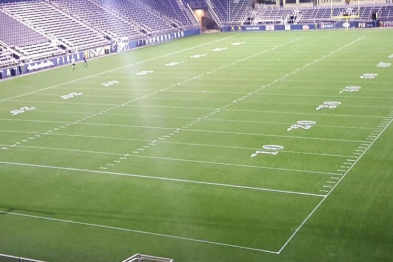 Florida International University